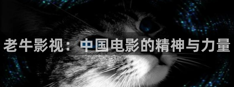 飞马影院在线观看：老牛影视：中国电影的精神与力量