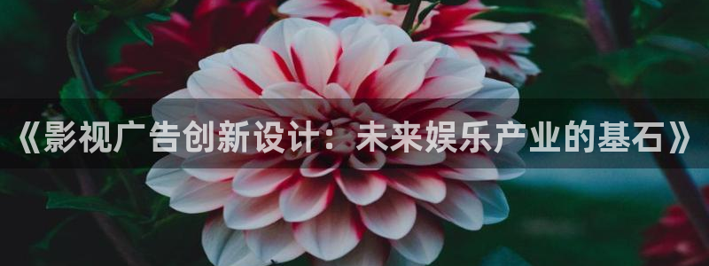 飞马影视：《影视广告创新设计：未来娱乐产业的基石》