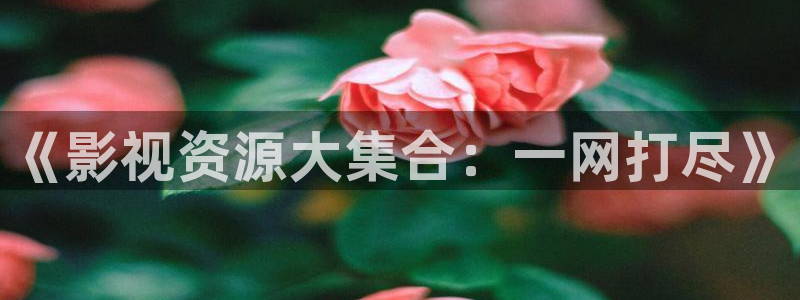 飞马影院下载