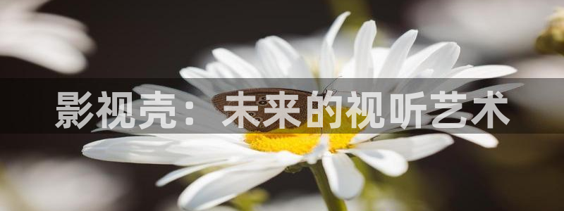 飞马影院app